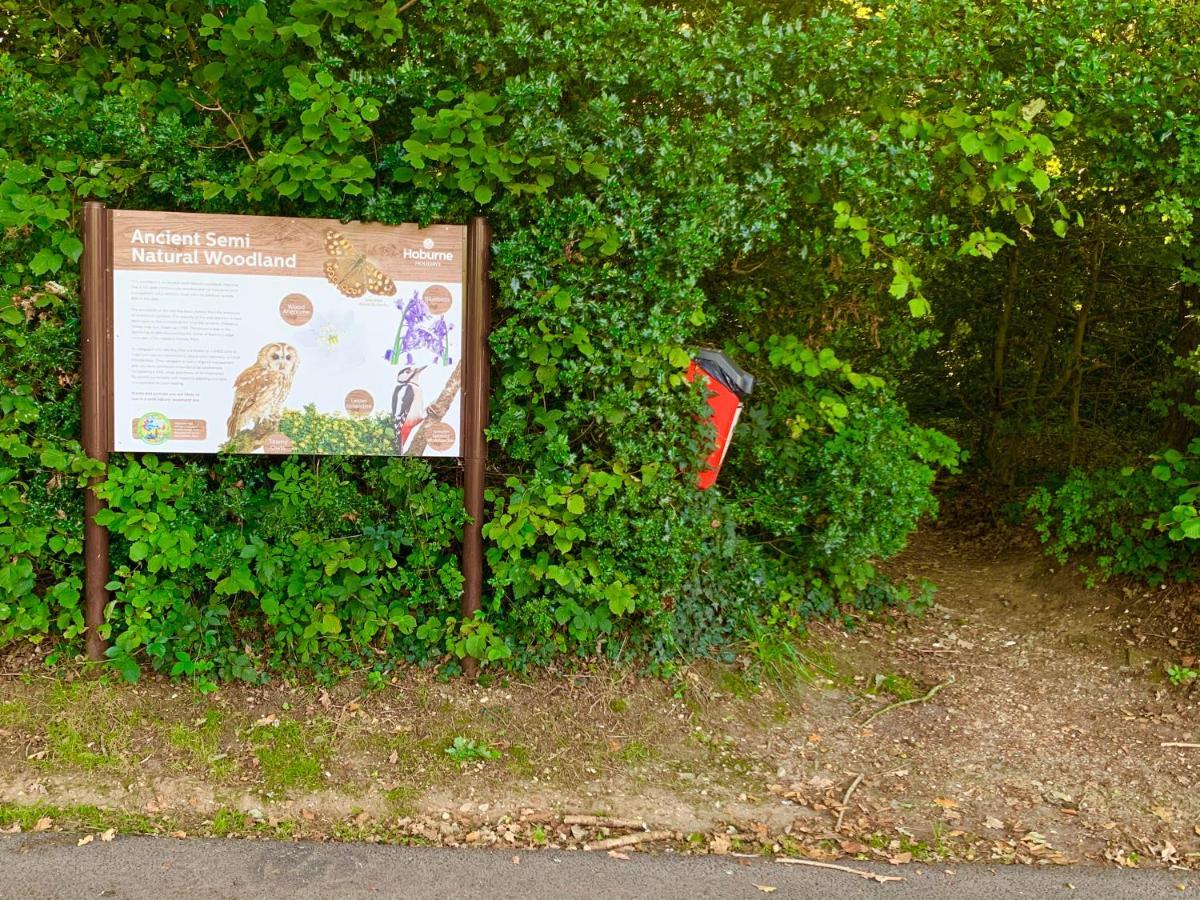 Forest Lodge Sway Esterno foto